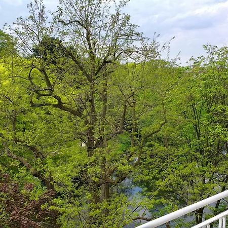 Ferienwohnung Parkblick Бремен Екстер'єр фото